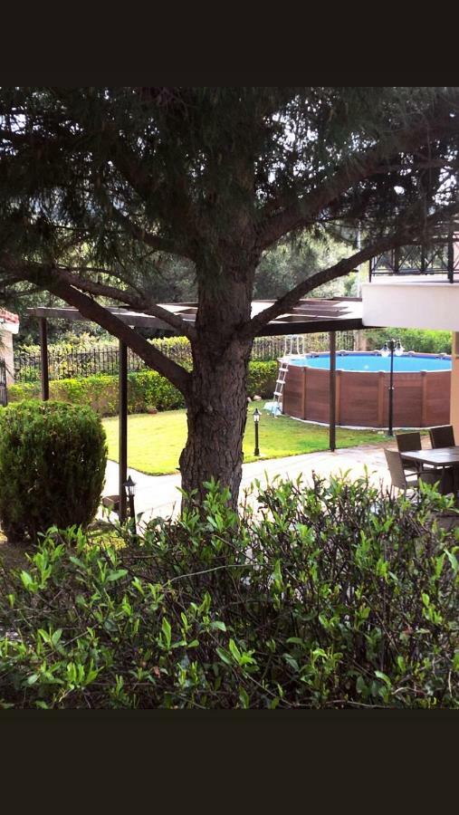Athenian Riviera Family House Villa Palaiá Fókaia Exterior foto